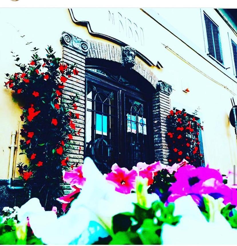 Dabibbo Guest House Cerveteri Exterior foto